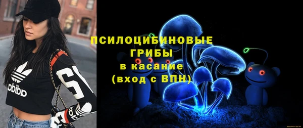 спайс Киреевск
