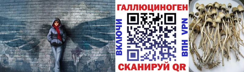Псилоцибиновые грибы ЛСД  Ачинск 